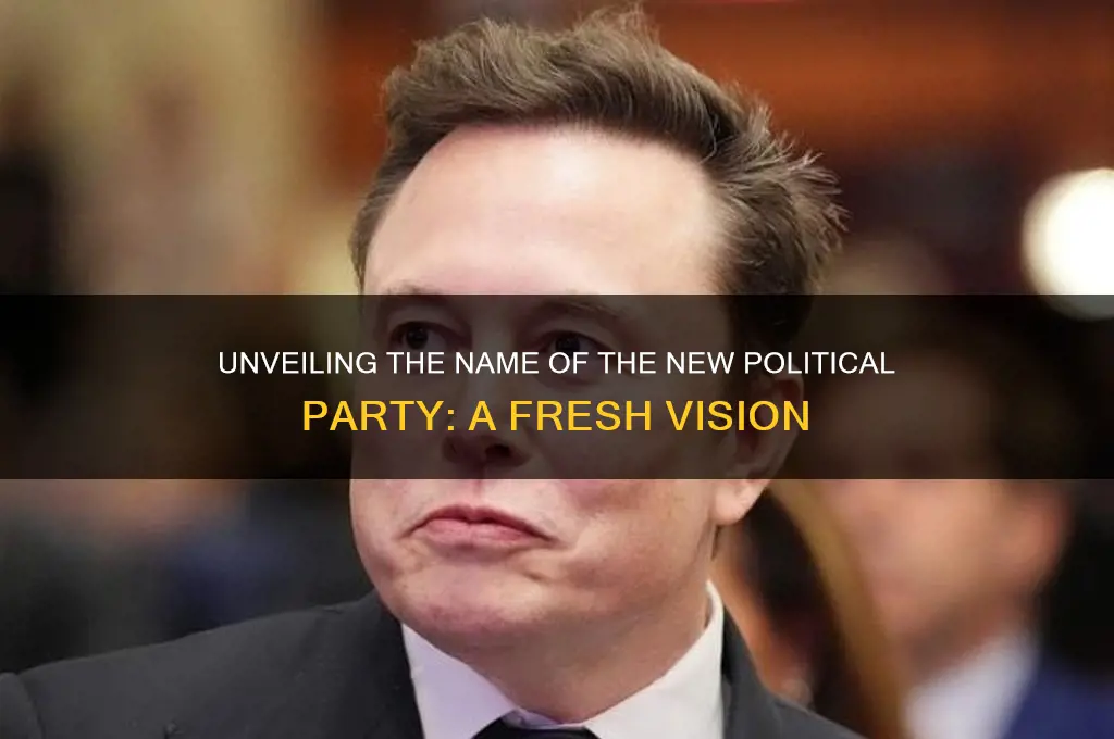 what is the name of the new political party