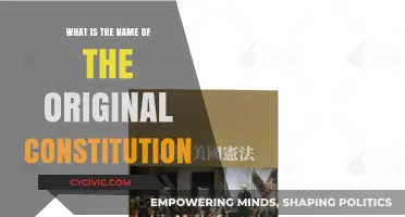 The Original Constitution: A Historical Document's Name