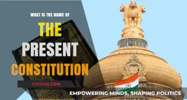 The Living Document: Our Constitution Today