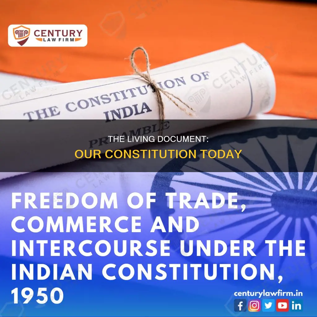 what is the name of the present constitution