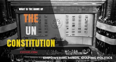 The UN Charter: A Constitution for All Nations