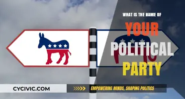 Choosing Your Political Party: Identity, Values, and the Name That Defines You