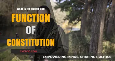 Understanding the Constitution: Nature and Function