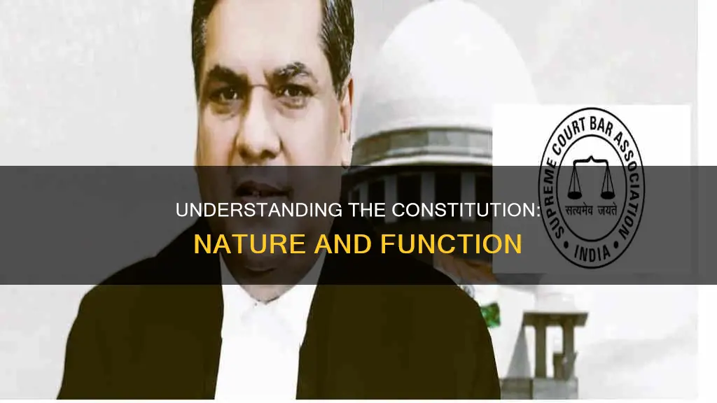 what is the nature and function of constitution
