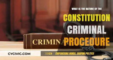 Criminal Procedure: Constitutional Nature Explained