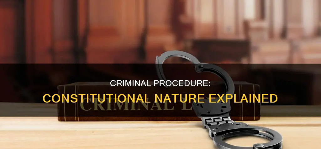 what is the nature of the constitution criminal procedure