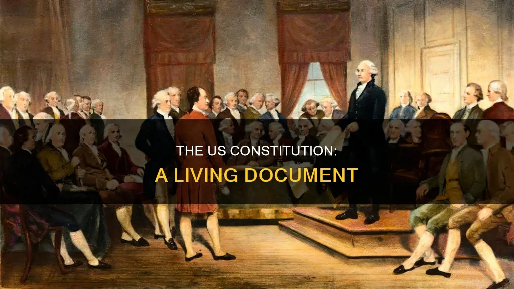 what is the nature of the us constitution