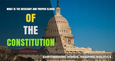 Understanding the Necessary and Proper Clause of the Constitution