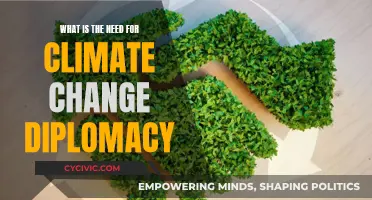 Climate Change Diplomacy: An Urgent Global Priority