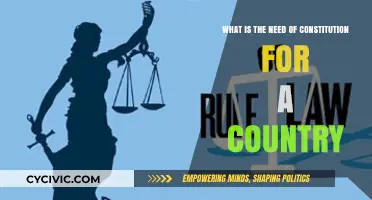 Why Constitutions are Vital for Nations