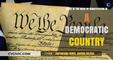 Why Constitutions Are Vital for Democracy