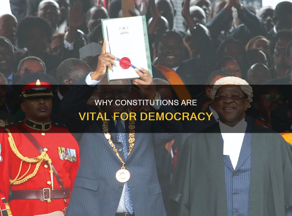 what is the need of constitution in a democratic country