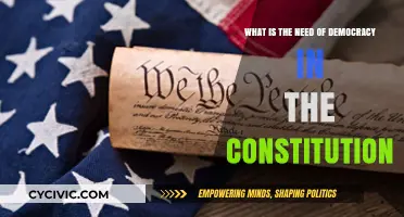 Democracy in the Constitution: Why It Matters
