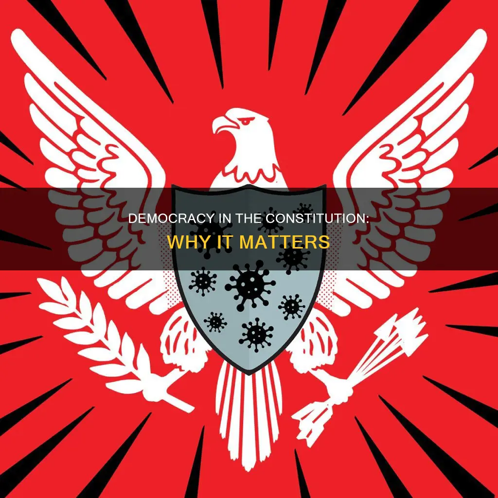 what is the need of democracy in the constitution