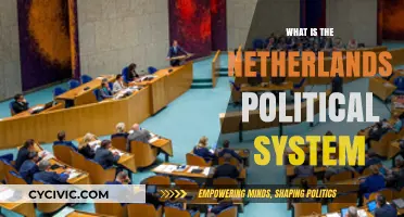 Exploring the Netherlands' Political System: A Comprehensive Guide
