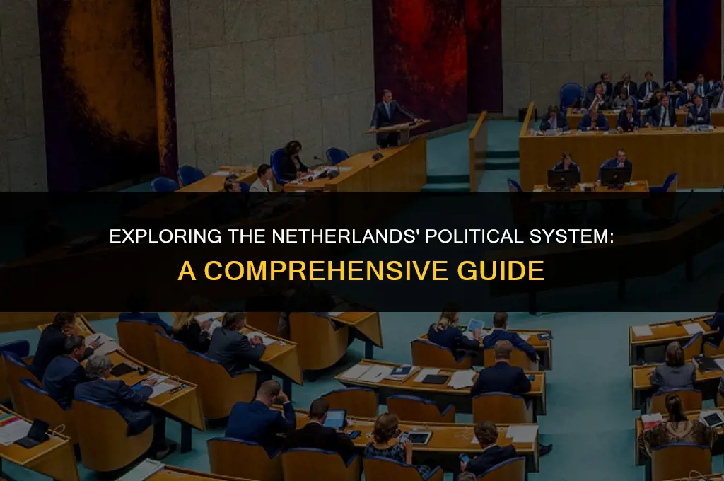 what is the netherlands political system