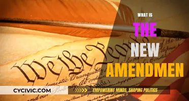 The Latest Amendment: Understanding the Recent Changes