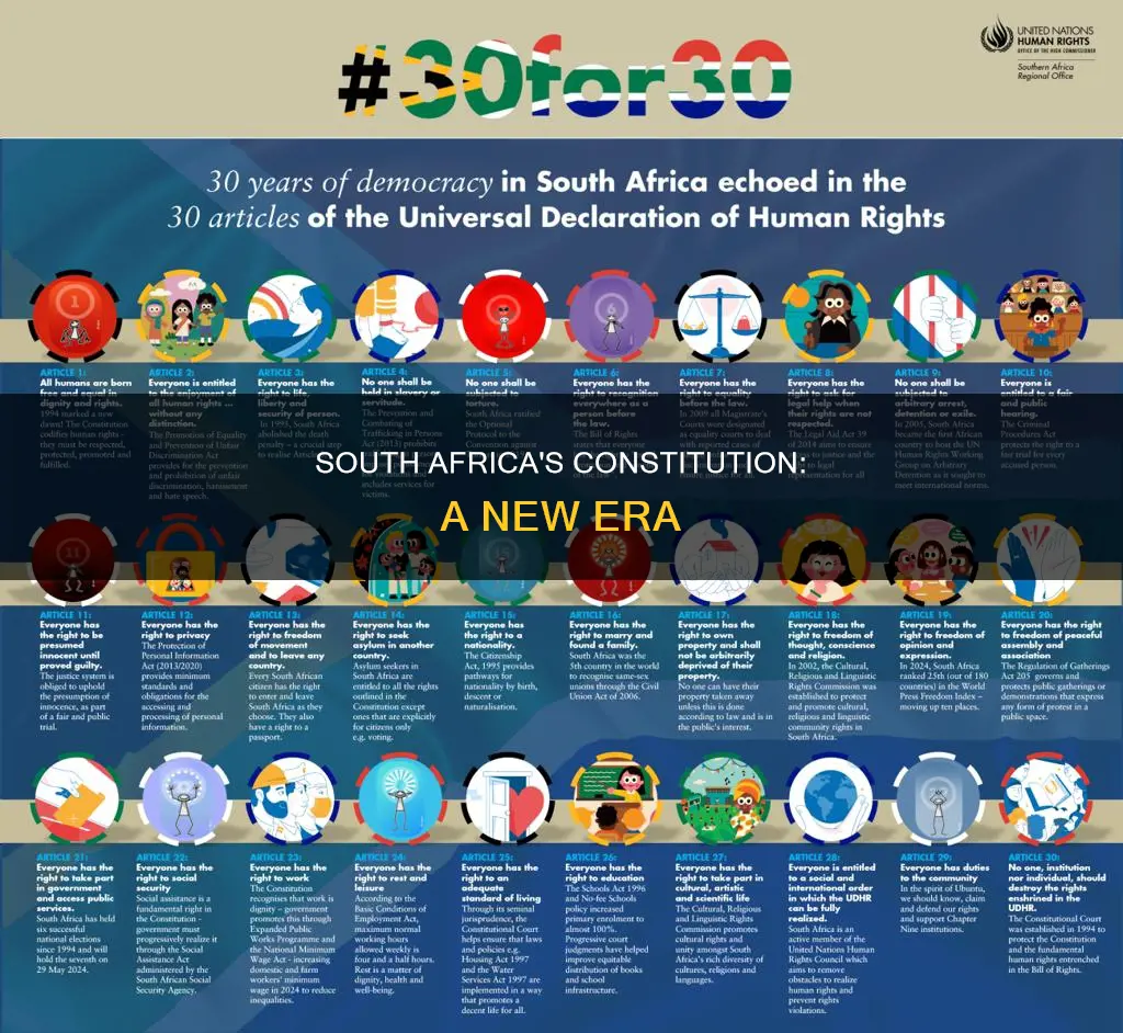 what is the new constitution in south africa