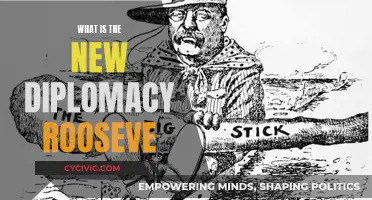 The New Diplomacy: Roosevelt's Legacy and Modern Impact