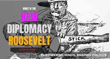 Roosevelt's New Diplomacy: A Progressive Vision for Foreign Affairs