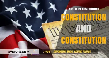 Constitution and Constitutionalism: Understanding the Fundamental Nexus