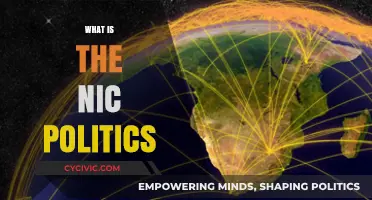 Understanding NIC Politics: Dynamics, Influence, and Global Implications Explained
