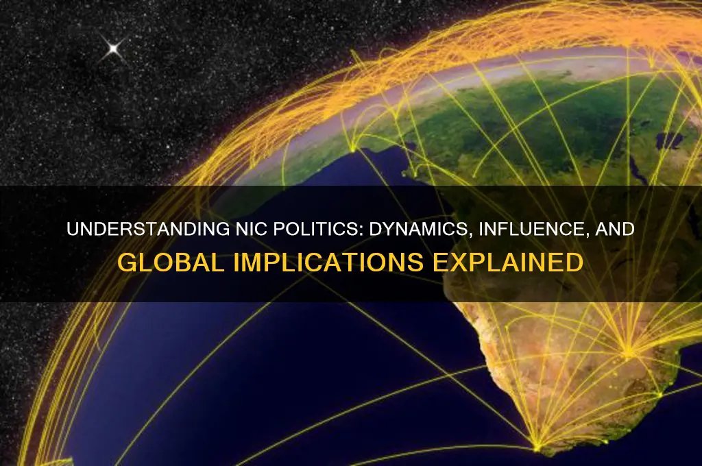 what is the nic politics