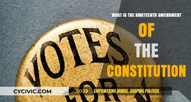 The Amendment That Gave Women the Right to Vote