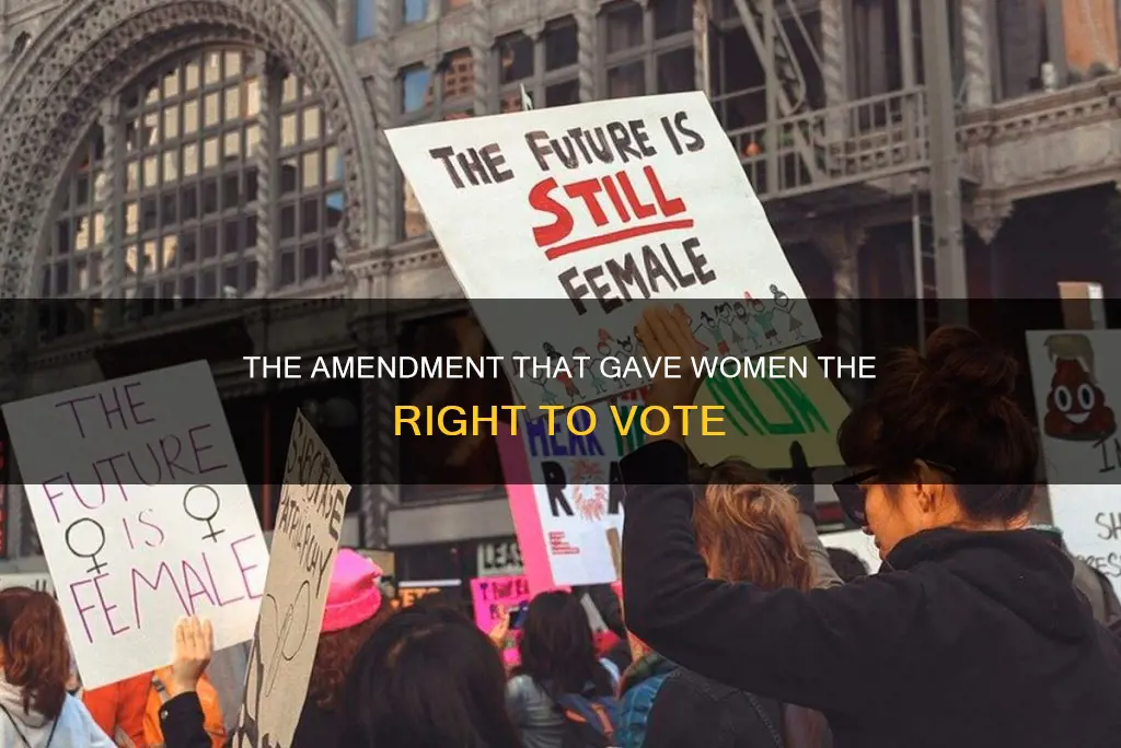 what is the nineteenth amendment of the constitution