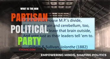 Understanding the Non-Partisan Political Party: A Comprehensive Guide