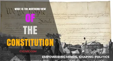 The Constitution: Northern View and Its Legacy