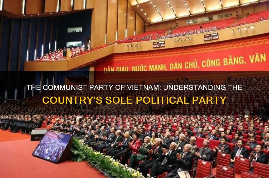 what is the one political party in vietnam called