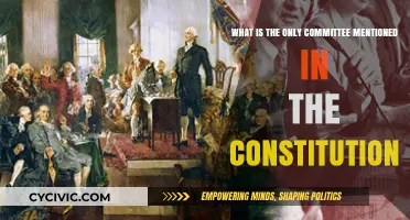 The Judiciary Committee: Our Constitutional Cornerstone