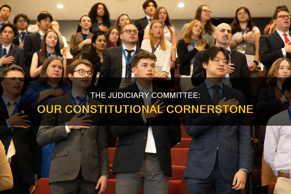 what is the only committee mentioned in the constitution