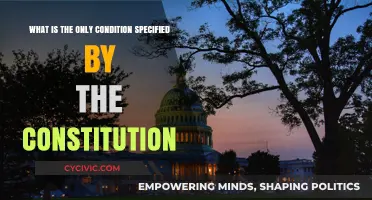 The Constitution's Sole Condition: A Nation United