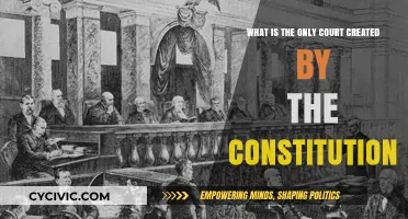 The Supreme Court: Our Constitution's Highest Court