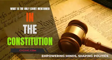 The Supreme Court: Constitution's Lone Judicial Mention