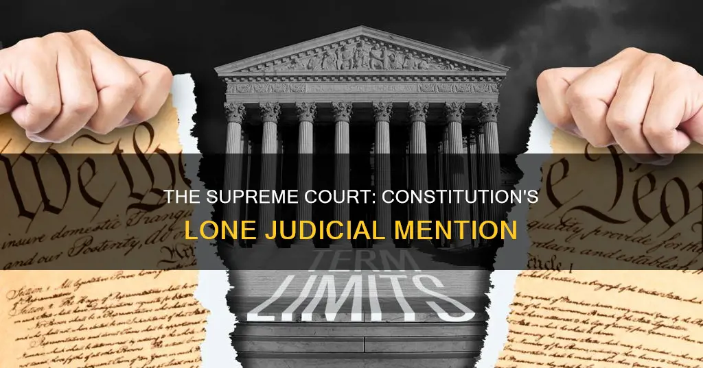 what is the only court mentioned in the constitution