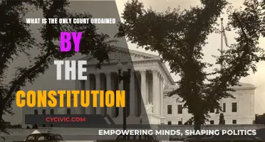 The Supreme Court: Our Constitution's Highest Court