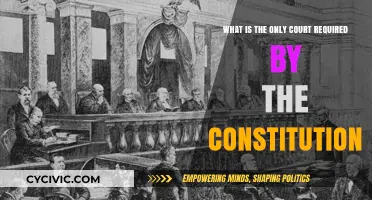 The Supreme Court: Our Constitution's Highest Court