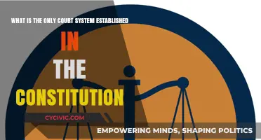 The Supreme Court: America's Constitutional Court