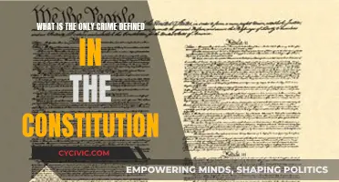 The Constitution's Sole Crime: Understanding Its Definition and Relevance