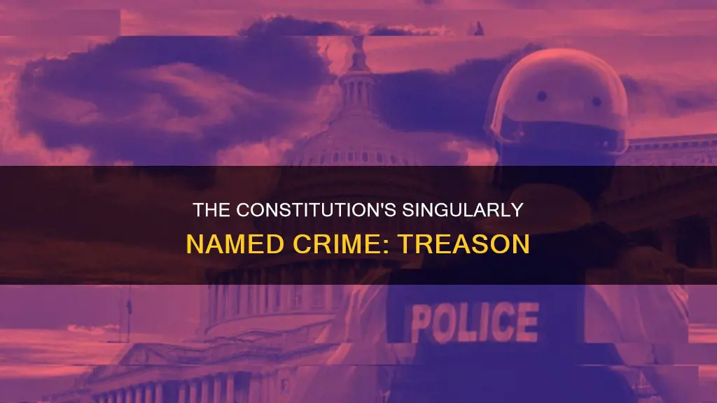what is the only crime specifically named in the constitution