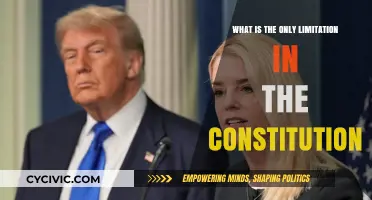Limitations on Government Power: The Constitution's Only Limit