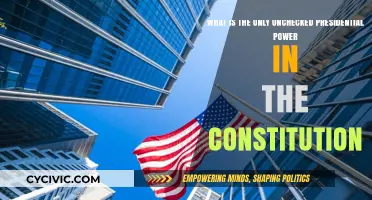 The President's Unchecked Power: What's the Constitution's Blind Spot?