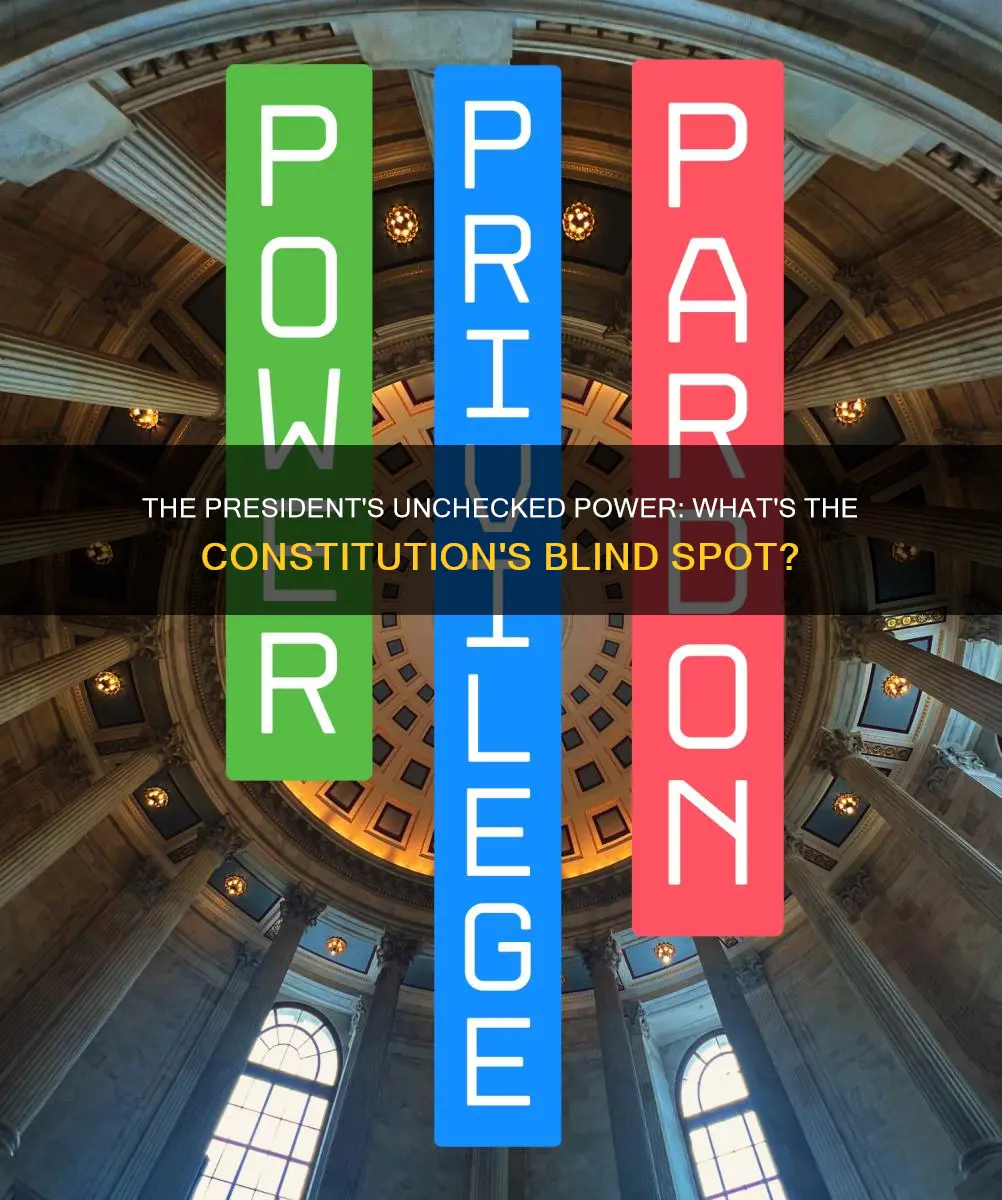 what is the only unchecked presidential power in the constitution