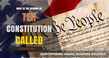The Constitution's Opening: A Powerful Introduction