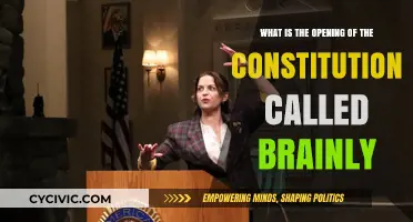 The Constitution's Opening: What's in a Name?