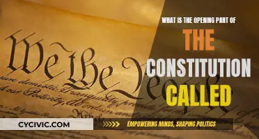 The Constitution's Opening Act: What's in a Name?