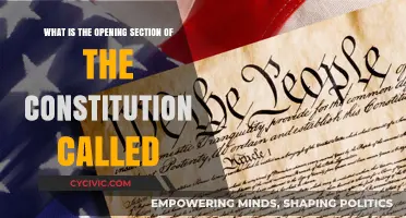 The Constitution's Opening: What's in a Name?